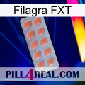 Filagra FXT 26